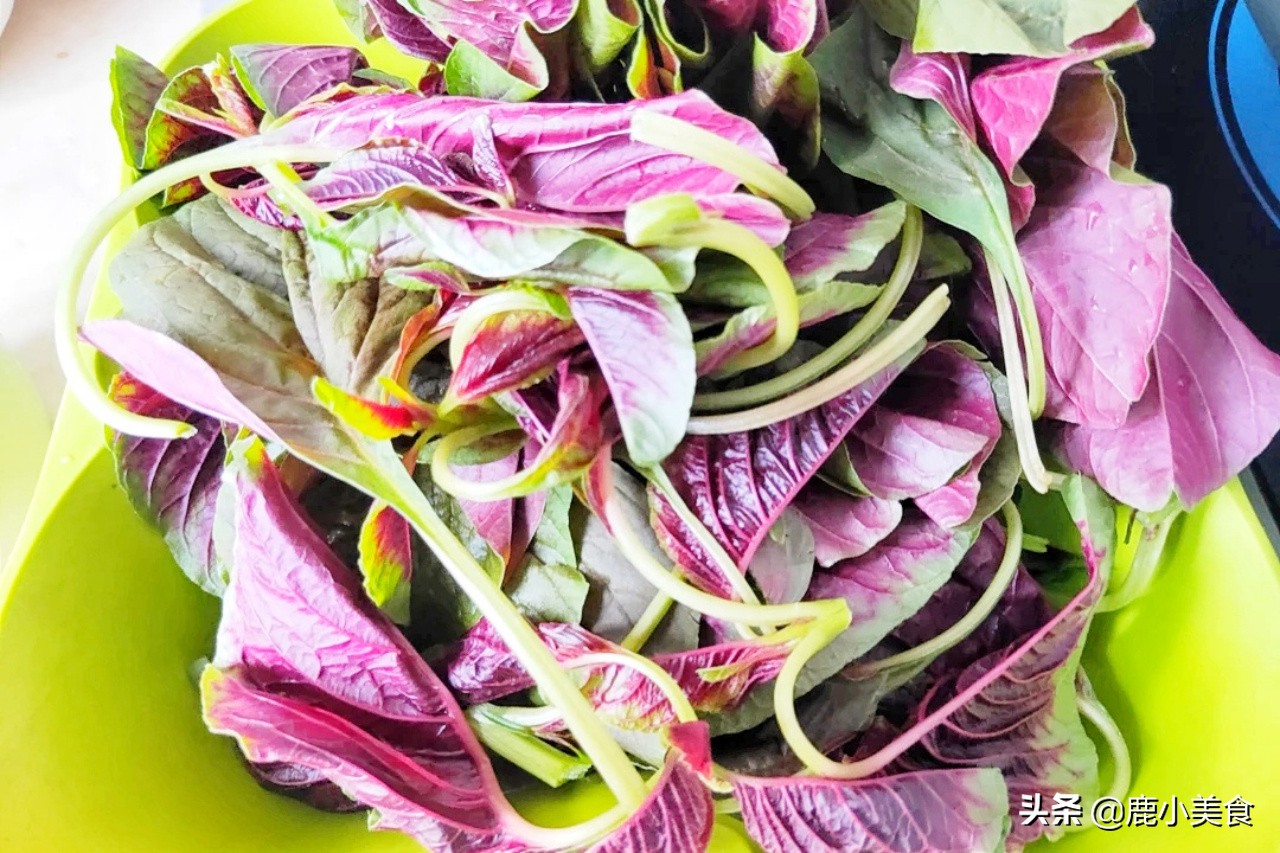 含叶酸多的食物和水果蔬菜有哪些,什么水果蔬菜含b6b12和叶酸