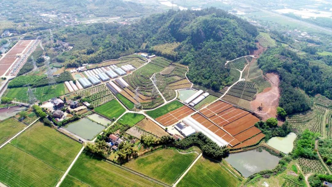 一起去瓶窑“拿块地”！古城旁，南山下，50个平方200元......