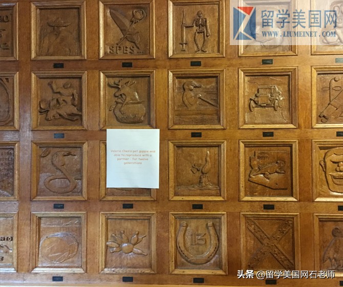 缇庡浗椤跺皷楂樹腑绫冲痉灏斿鍏嬫柉,缇庡浗绮捐嫳楂樹腑瀛︽牎