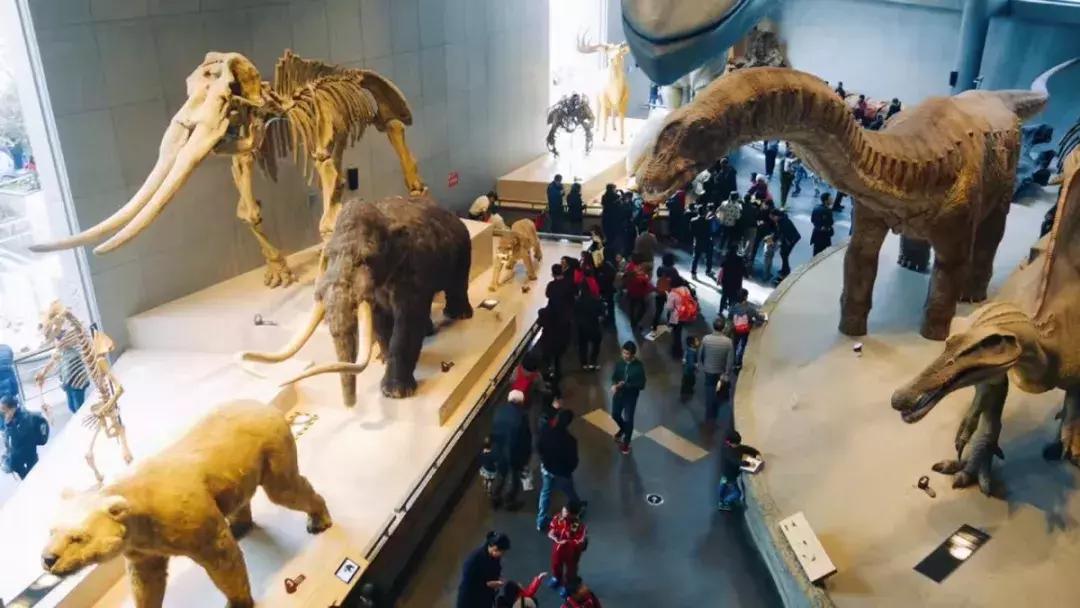 看完不想上班,让人看着就不想做的工作