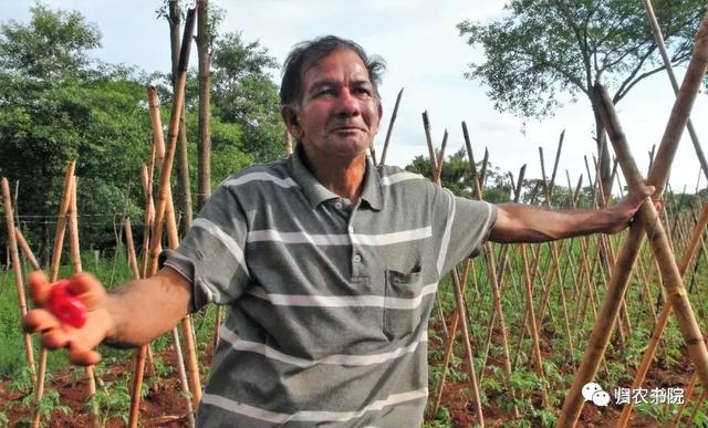 中国年年进口的大豆，为何让巴拉圭从富饶变得死寂？