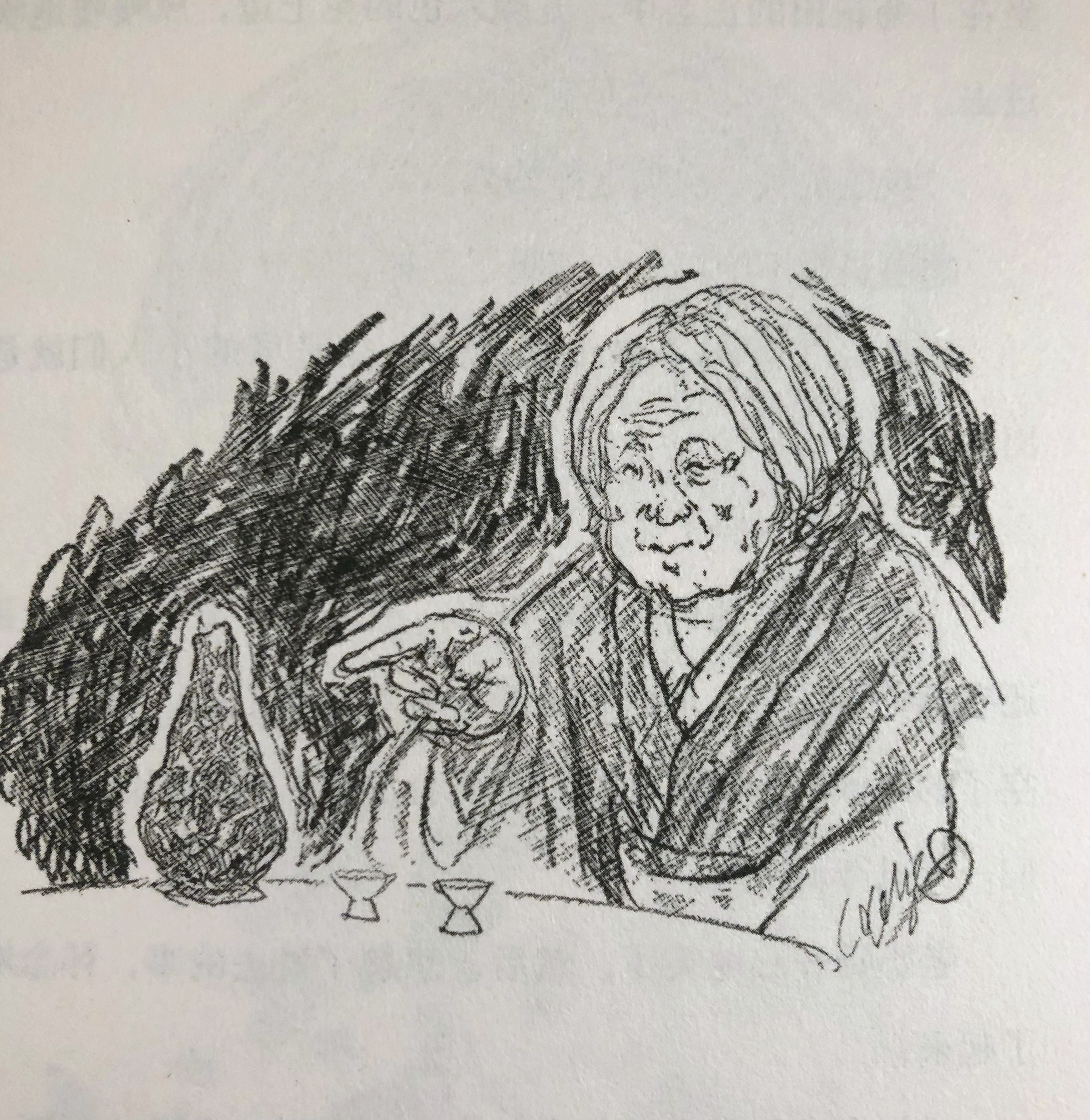 鎵嬬虎涓婄殑鑺辩敯闃呰,鎵嬬虎涓婄殑鑺辩敯