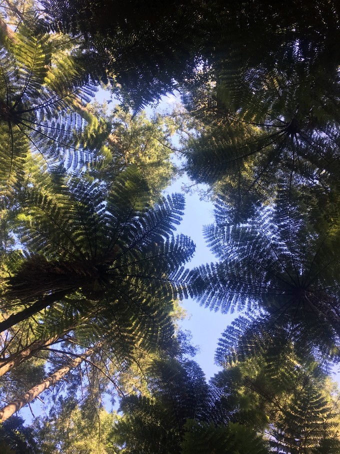 让你不出国就可以拍出欧洲即视感,让你不出家门就能看到江南的美景