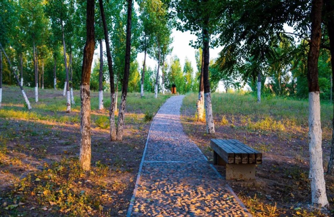 昌平哪个地方的公园最好,昌平区主要公园及景点