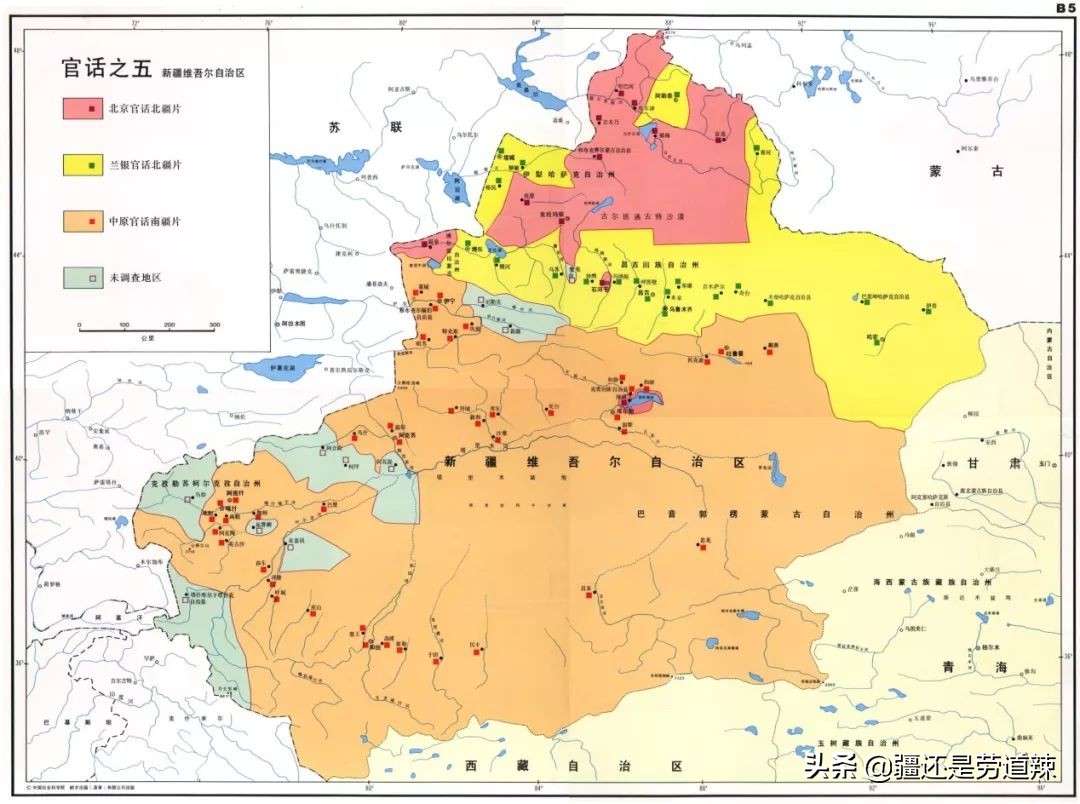 疆语的最新视频,疆普通话怎么说