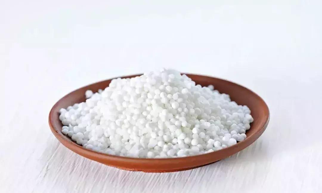 仙草、龟苓膏、西米...那些冰凉爽口的甜品都是用什么做的？