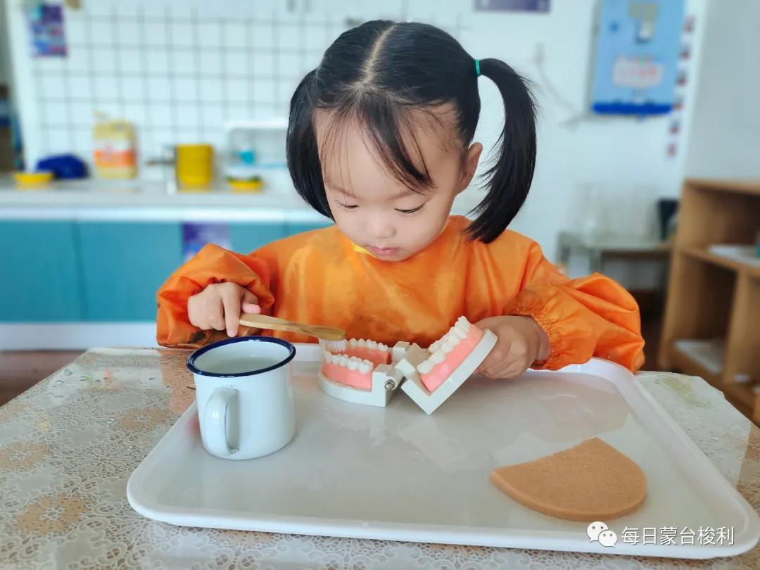 蒙台梭利0-3岁孩子主要的人类倾向,蒙台梭利2岁孩子特别听话