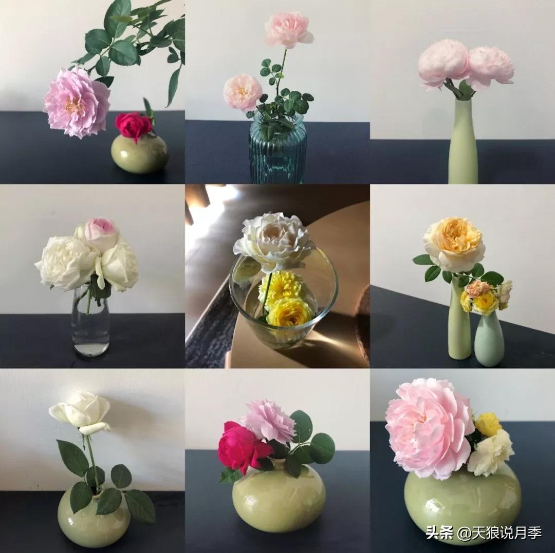 北阳台无直射光,北阳台直射光