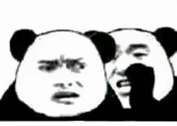 小猫被箭射伤后续,小猫被打伤了腿