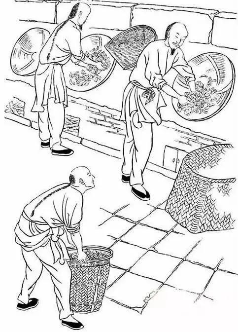 这份泡茶笔记值得收藏,武夷岩茶基本知识有哪些