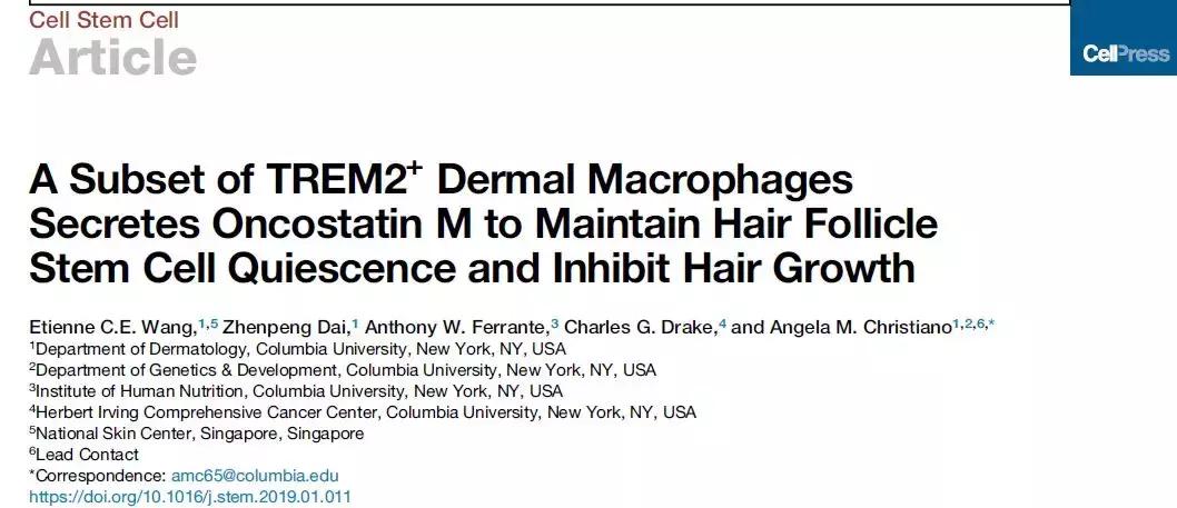 3d打印毛囊工厂,3d打印毛囊移植