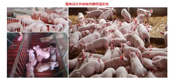 赵猛石墨烯,国家石墨烯联盟赵猛