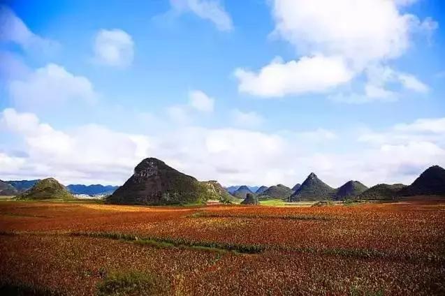 云南适合深秋游玩的地方,云南的秋天适合去哪些景点
