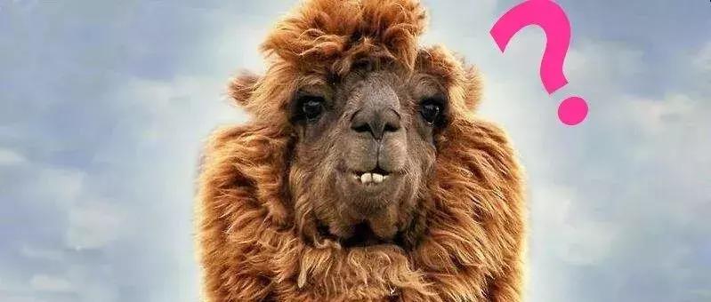 日本口碑最好的眼膜,日本公认最好用的10大眼膜