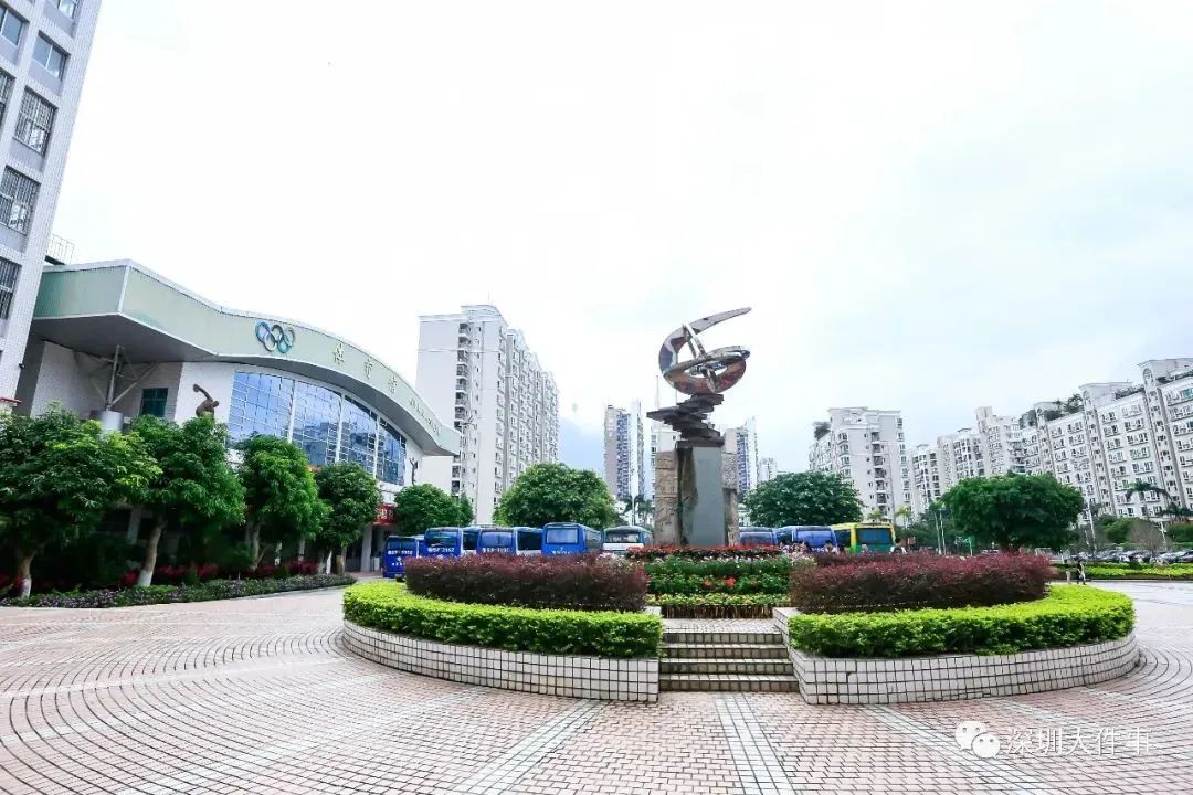 深圳中学牛娃,深圳牛蛙聚集地