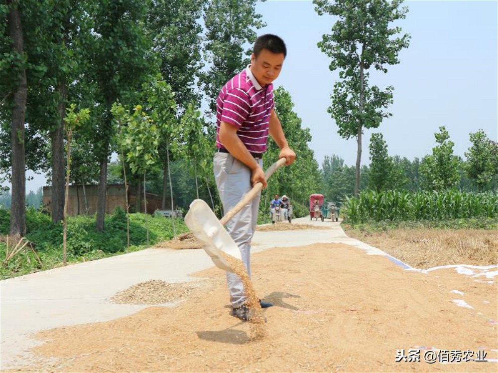 高价不高效，“保健品”式农资销售模式能走多远，农民真好忽悠？