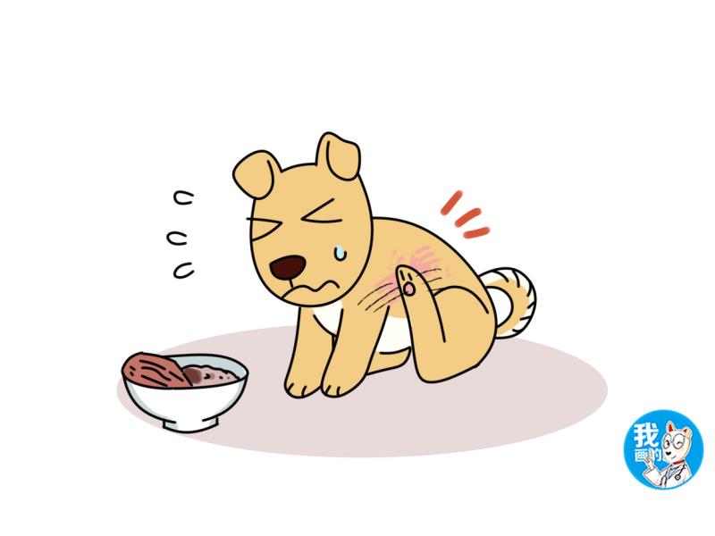 喂多少盐会导致狗狗中毒,狗摄入盐分过多抽搐怎么办