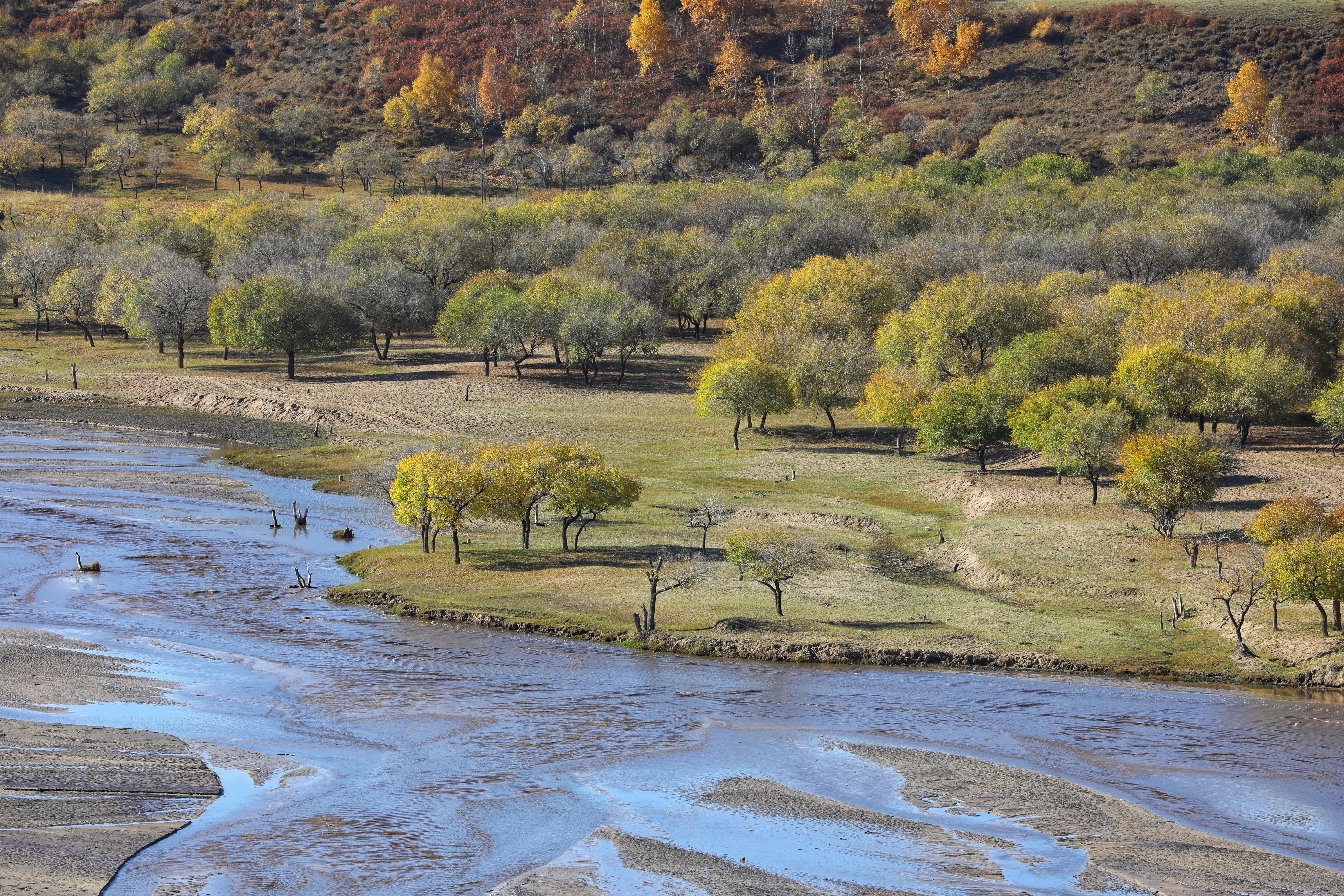 坝上秋色草原,坝上草原游记作文