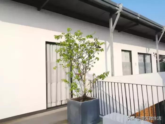 「广州」海珠区唯品同创会,拍照超好看,收藏