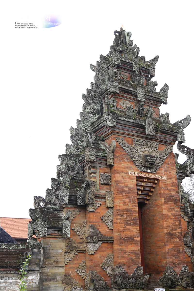 在印尼见识传说中最昂贵的猫屎咖啡