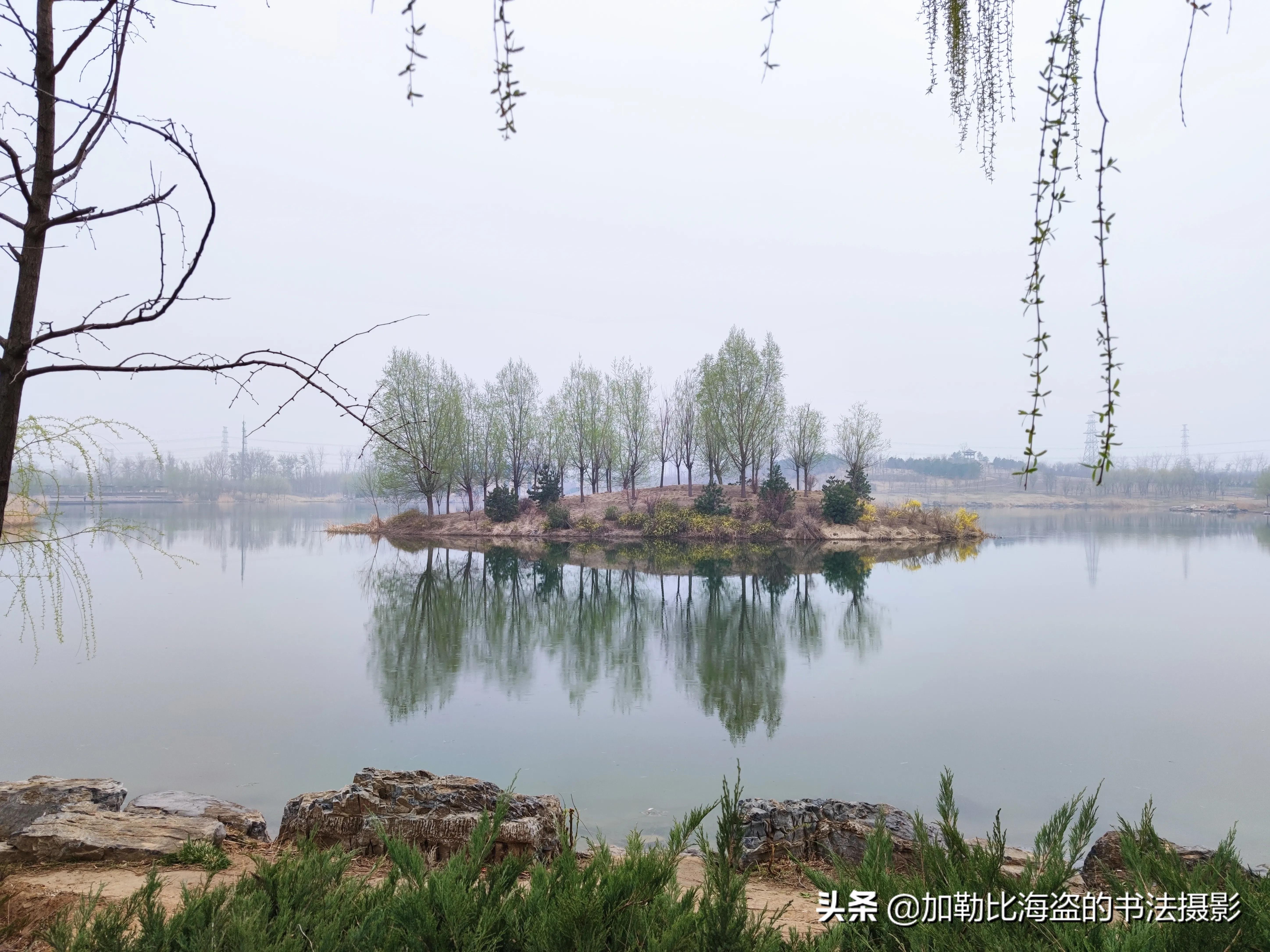 如何在公园里拍出氛围感照片,公园摄影怎么拍出高级感