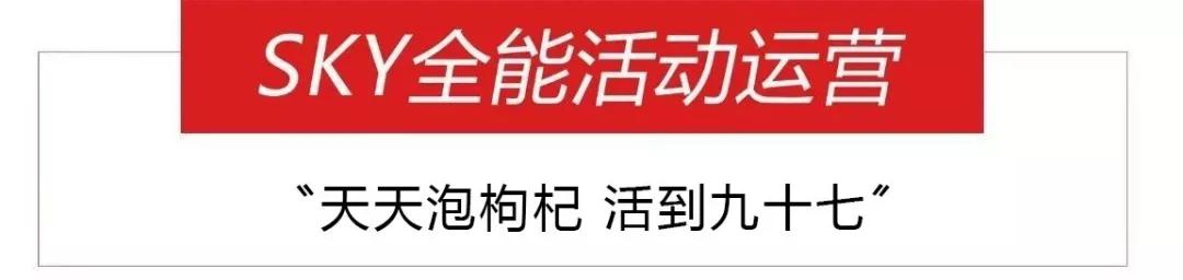 互联网人都需要什么保命,互联网人必须有的保命指南