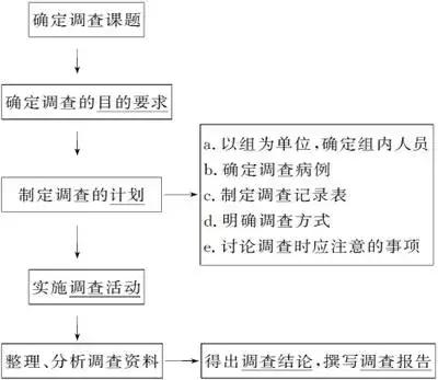 高中生物实验方法归纳图怎么画的,高中生物实验专题归纳