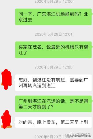 宠物托运全过程狗狗,宠物托运全过程国外
