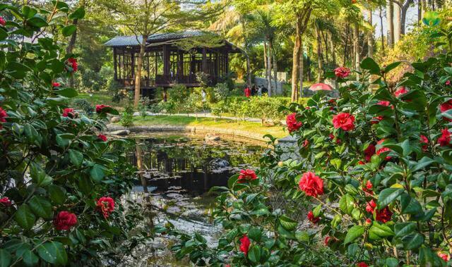 深圳花海公园推荐景点有哪些,深圳花海公园地址在哪里