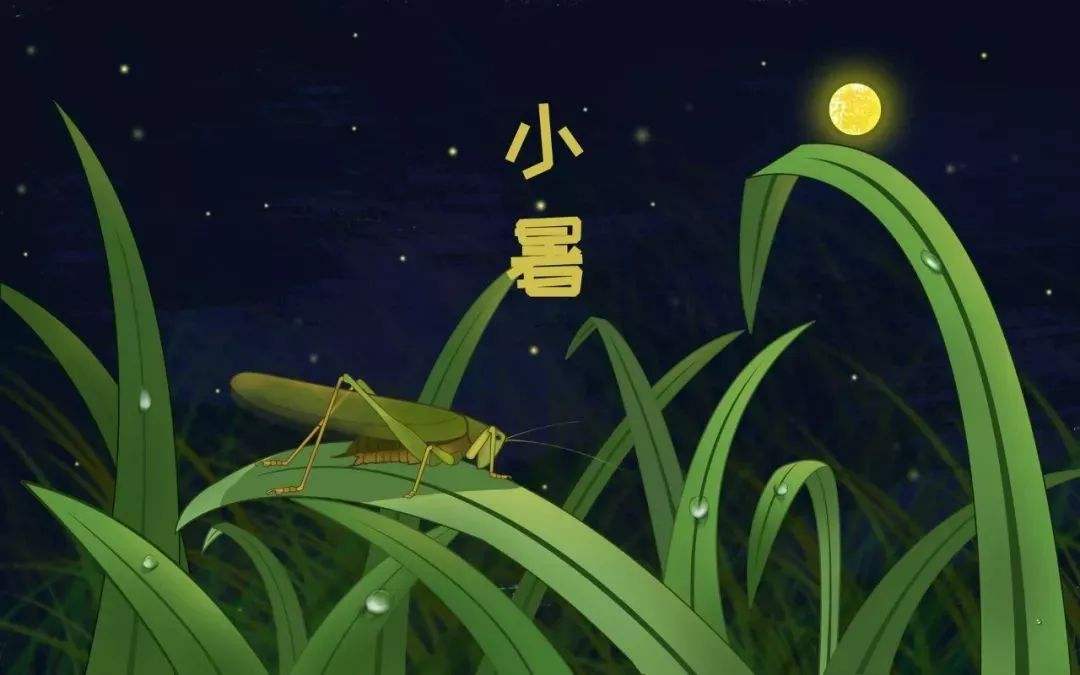 「听堂早点报」被成都的夏天圈粉！成都迎11年来最冷小暑