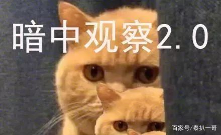 一哥专扒:RAY面膜被一哥扒的,可能连“*裤底**”都不剩!