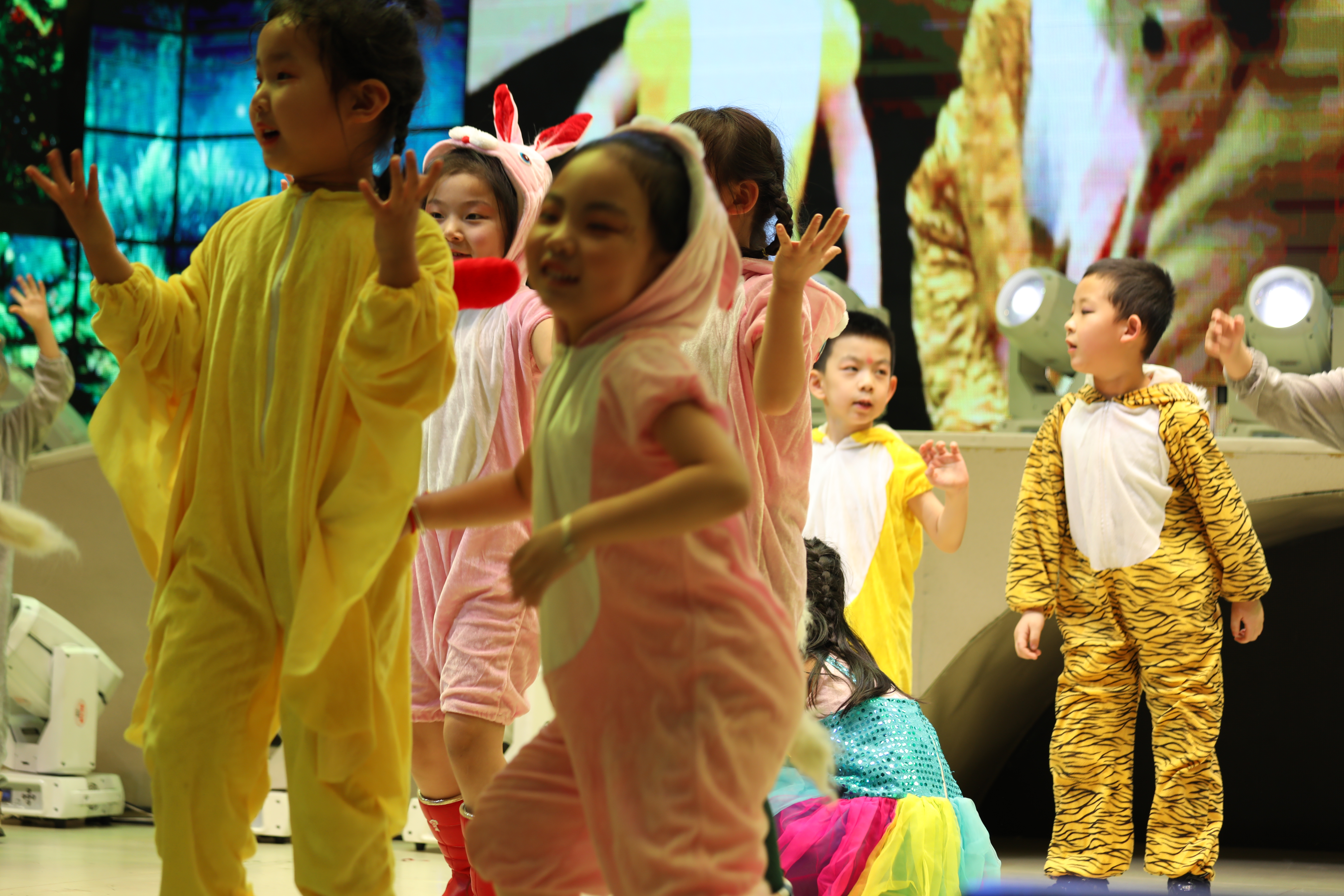 星星幼儿园第一届亲子活动,星星幼儿园亲子运动会