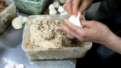 大学食堂难吃?这组图片将颠覆你的认知!