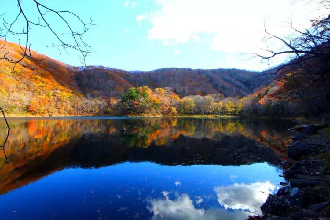 日本旅游吃饭攻略,日本游美食必购清单