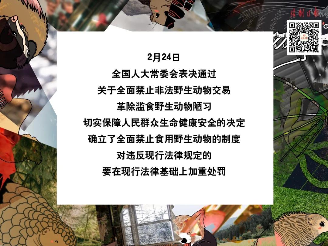 远离野味的漫画,拒绝野味漫画