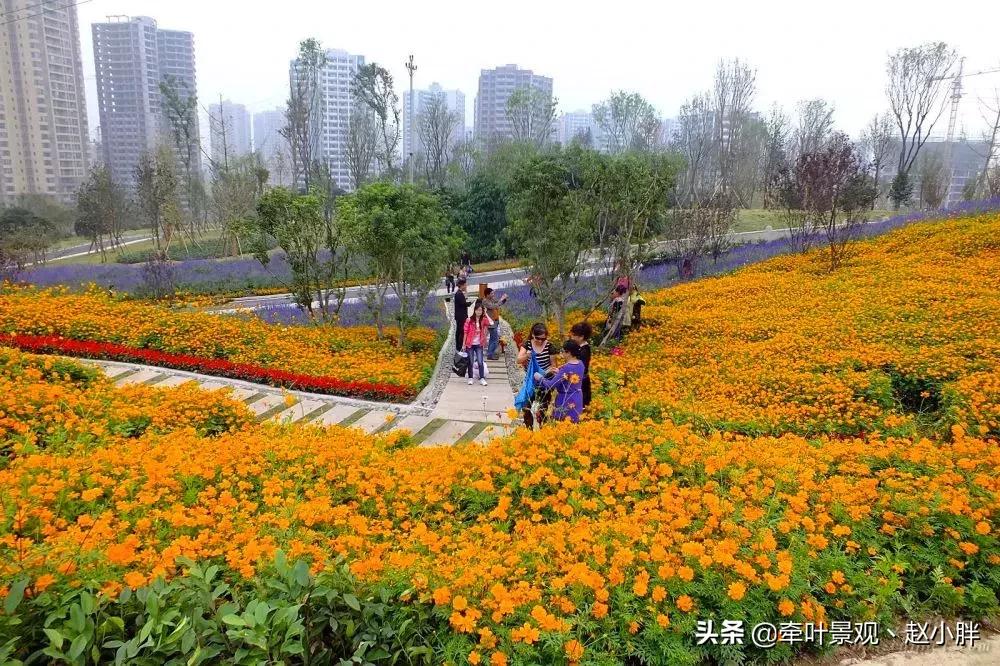 踏春寻美景,踏春赏花梯田漫步