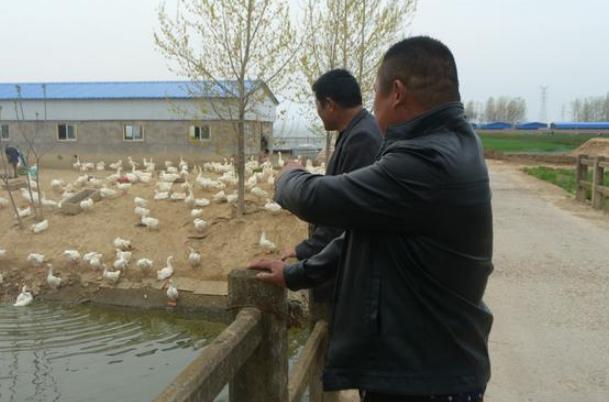 安徽农民以这种方式搞养殖，遭受邻居嘲笑，现在身价达100多万