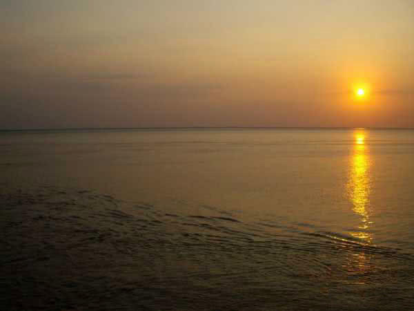 它一生只活一年，我们叫它“扔巴鱼”