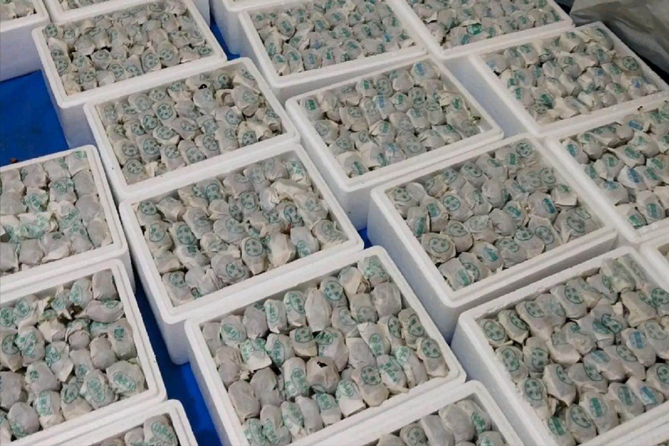 大樱桃裂果咋办？我国农民有一“神奇操作”，专家反对，照样大火