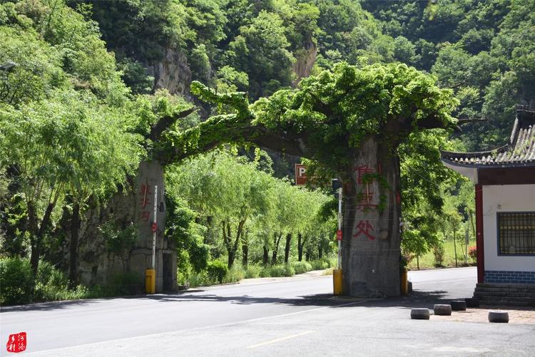 栾川养子沟破产后收门票吗,2024年养子沟景区正常开放吗