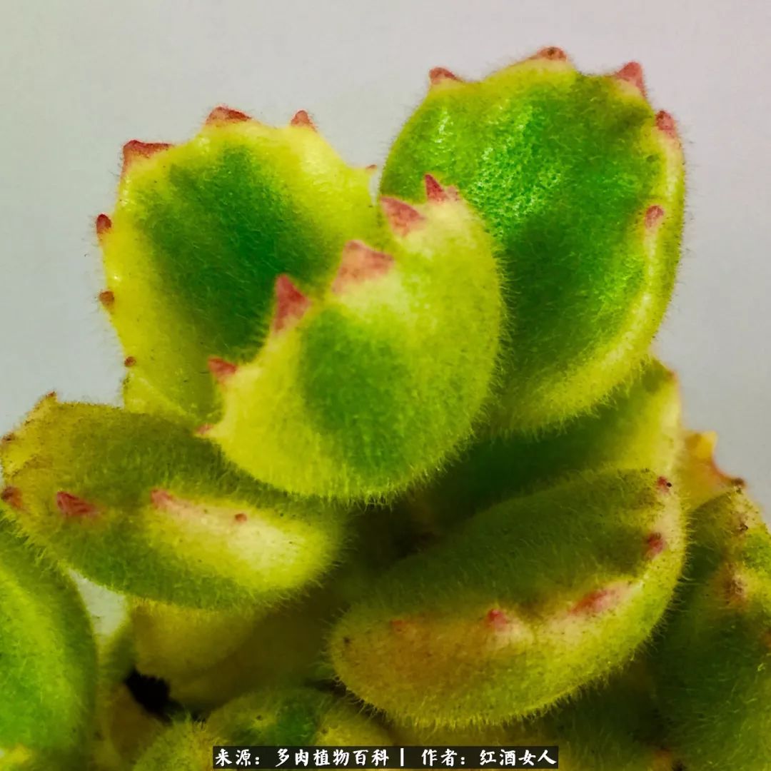 记录走过的美景留下美好的回忆,记录走过的每一段美好时光