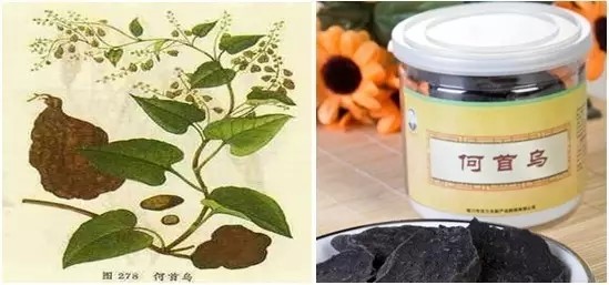 传统中草药的弊端,传统中药的优势与劣势