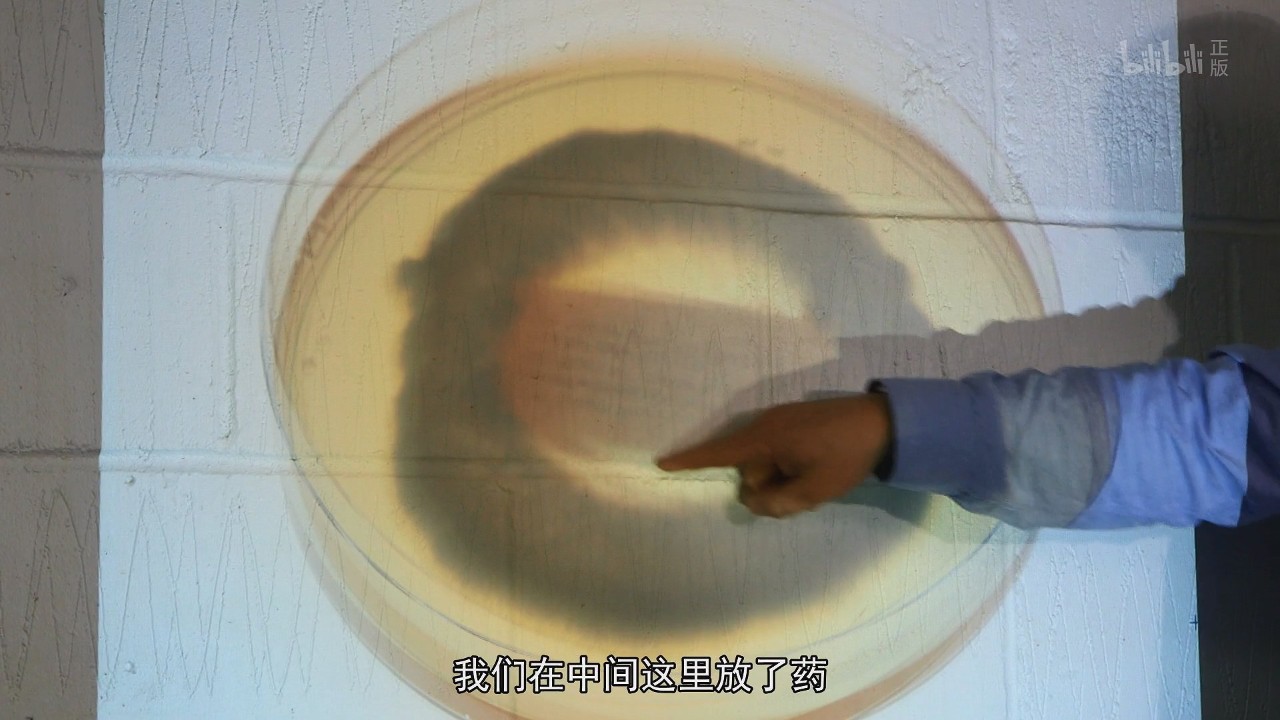 你知道药店里那些花里胡哨的药品，它们的宣传是真的吗？