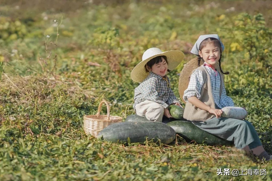 奉贤五一游玩打卡的地方,奉贤休闲度假游玩攻略
