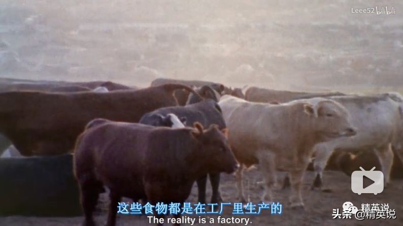 因为一个汉堡,她亲眼看着儿子死去!美国吃的食物到底有多脏...