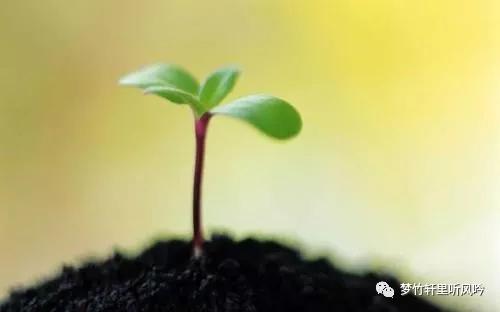 把自己的销售技巧和经验分享下去,销售合理化建议金点子100条