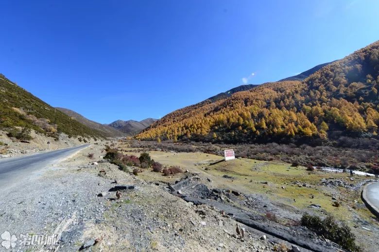 漫漫装修路，比邻有缘人（第一部分）