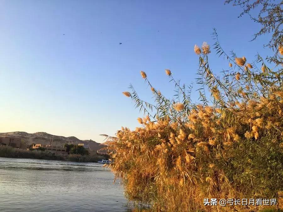 埃及算是花钱最少的国，后来没想到这记录被接下来的苏丹给破了