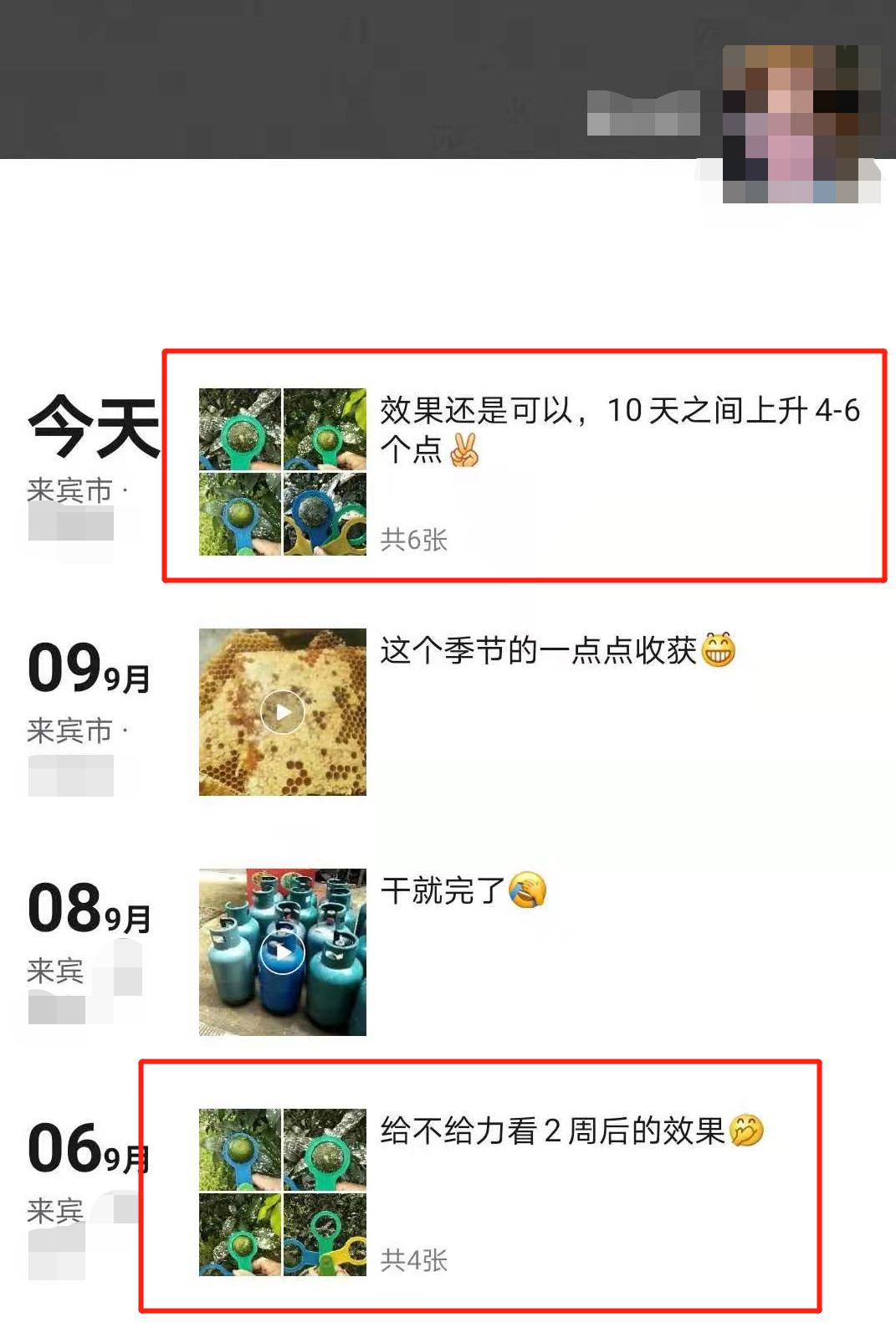 柑橘果的处理方法,柑橘大小果有办法补救吗