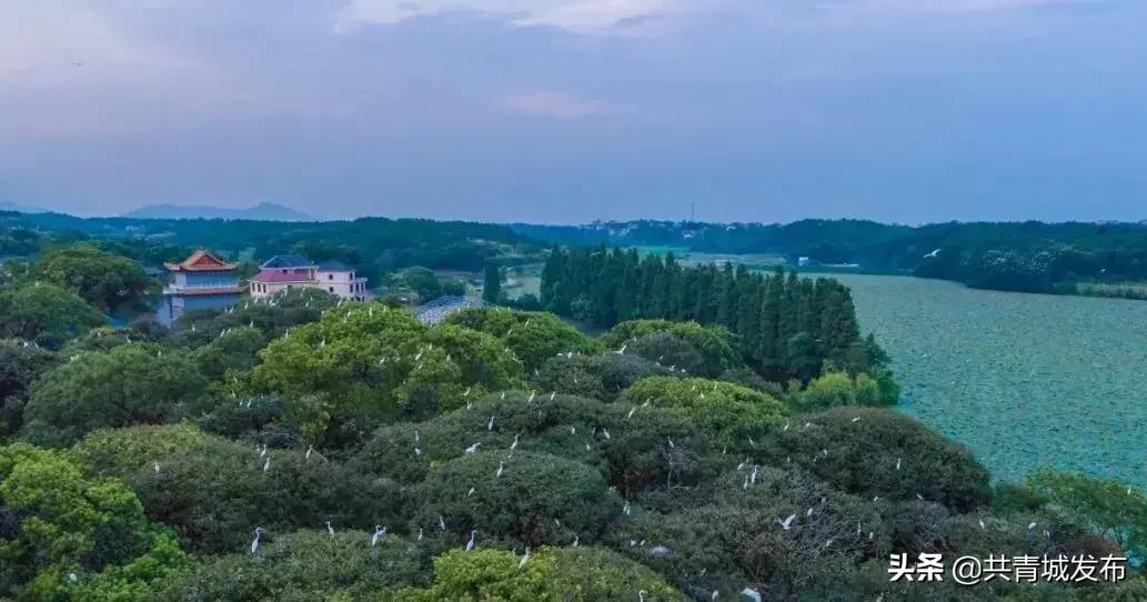 从a到z的成长,从a到z爱上茶的理由